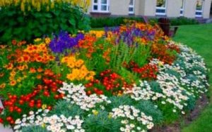 Привлекательный дизайн цветников возле дома: Советы по размещению клумб Видео