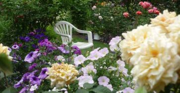 Розарий своими руками: советы профессионалов и схемы цветников