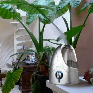 Увлажнитель воздуха полезен для растений