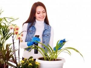 Меры предосторожности при работе с ядовитыми растениями