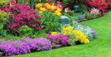 Посадка многолетних цветов весной — садовые цветы, растения и кустарники — 2020